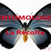 001 Titre Photos Entomologie Recolte
