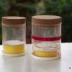 004 Entomologie Bocal a Papillons 9E5KIMG_51876wtmk
