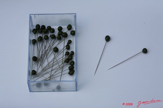 011 Entomologie Epingles pour Etaler 8EIMG_22416WTMK