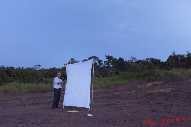 007 Entomologie Oklo Piege a Lampe et JLA 11E5K2IMG_67497wtmk