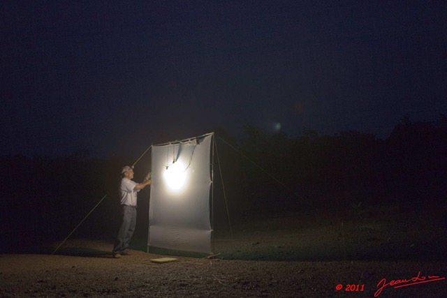 008 Entomologie Oklo Piege a Lampe et JLA 11E5K2IMG_67498wtmk