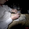 025 Entomologie Chaillu Conseravtion en Papillottes 11E5K2IMG_67555wtmk